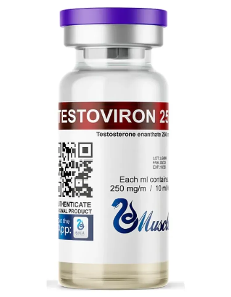 Enantato de testosterona Muscle